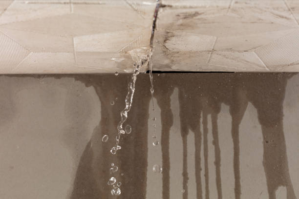Professional Structural Drying technician working in Pearl River, NY